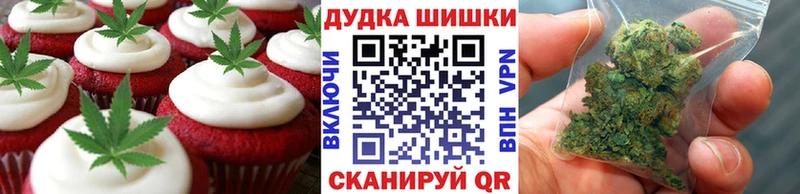 купить наркоту  Солнечногорск  Cannafood конопля 