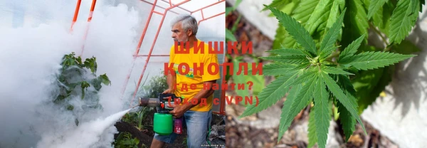 кокс Осташков