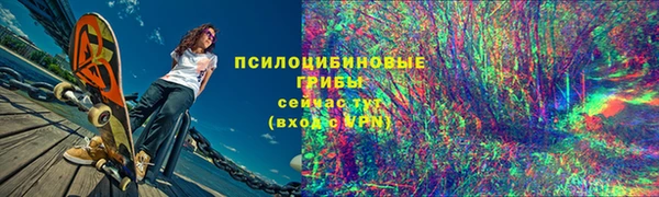 кокс Осташков