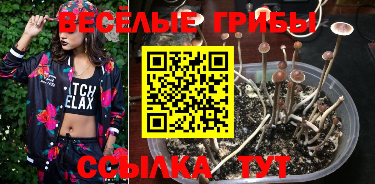 Галлюциногенные грибы MAGIC MUSHROOMS  Вход с VPN  Солнечногорск  Галлюциногенные грибы мухоморы 