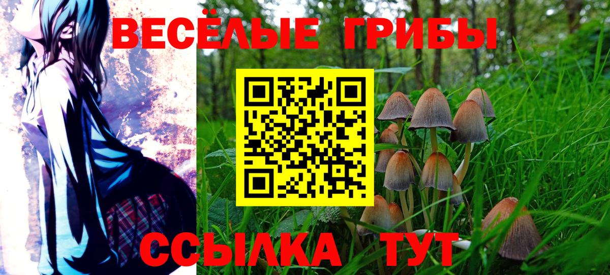 Галлюциногенные грибы GOLDEN TEACHER Солнечногорск