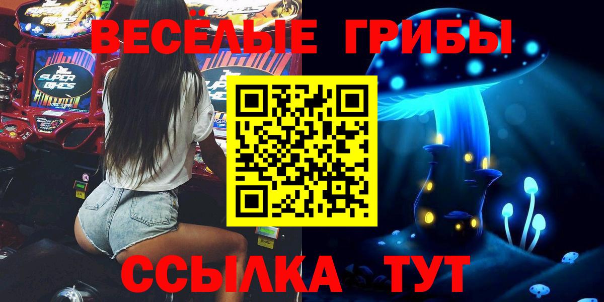 Галлюциногенные грибы мухоморы  Псилоцибиновые грибы Magic Shrooms  наркошоп  Солнечногорск 